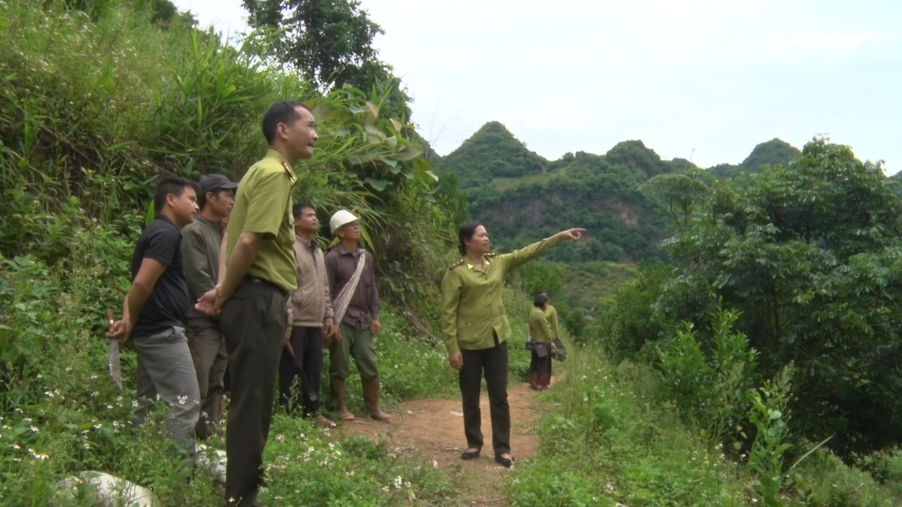 Bản người Thái: Giữ rừng xanh bằng hương ước - Ảnh 3.