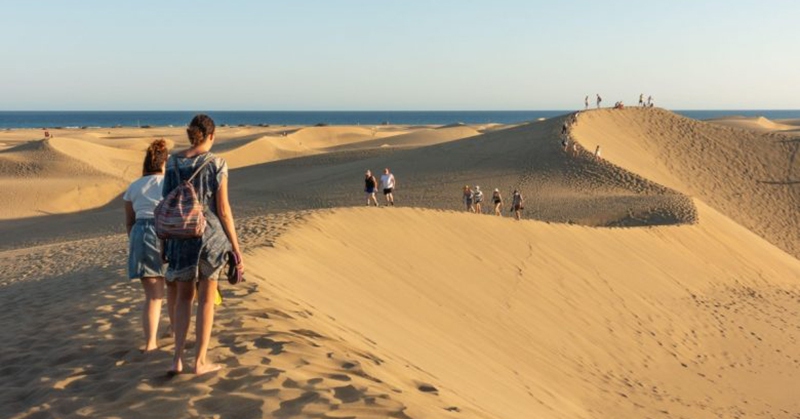 Rolling sand dunes right in the lush green land in this northeasternmost state of the United States