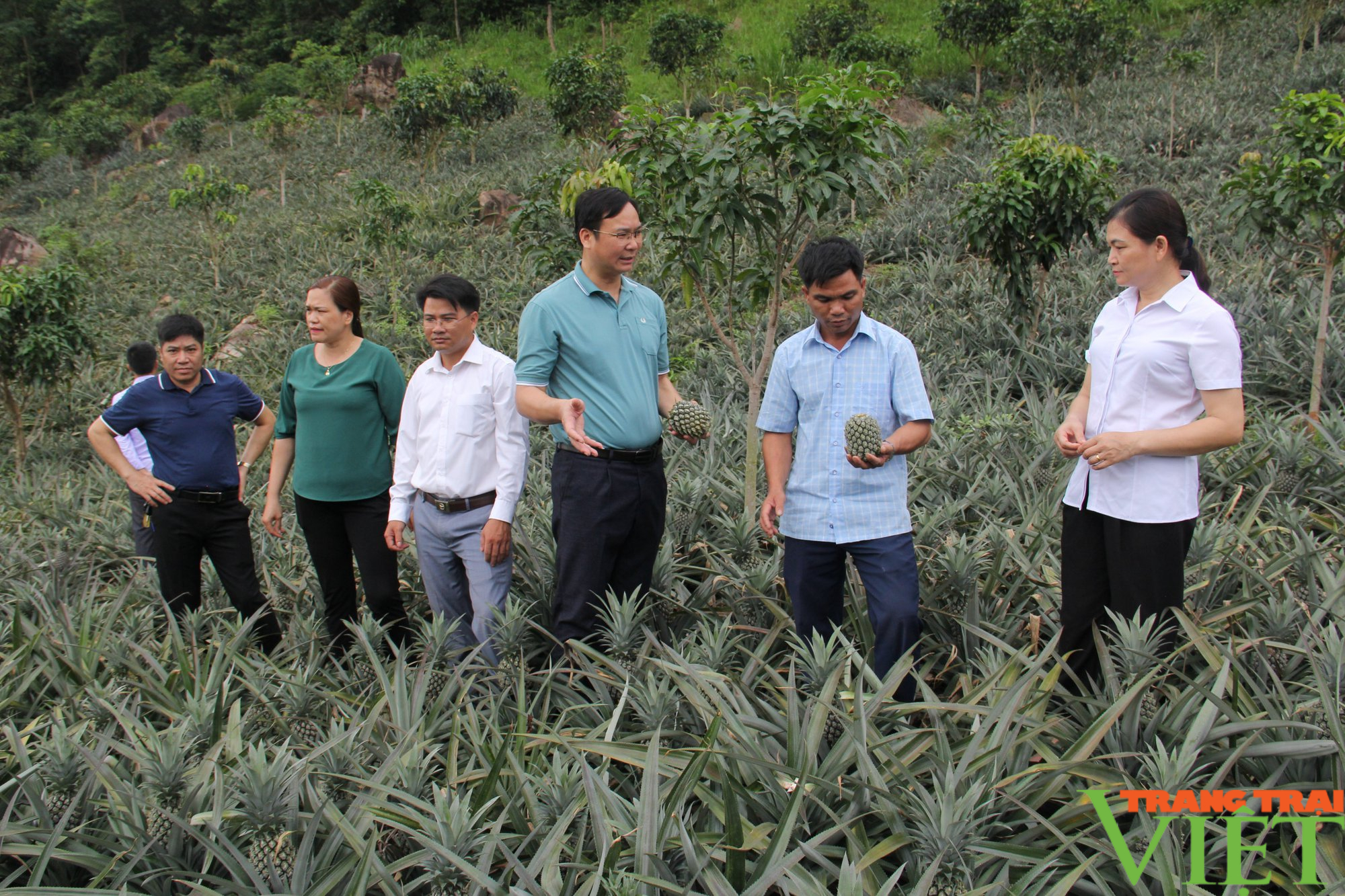Liên kết với Đồng Giao, nông dân Quỳnh Nhai yên tâm sản xuất