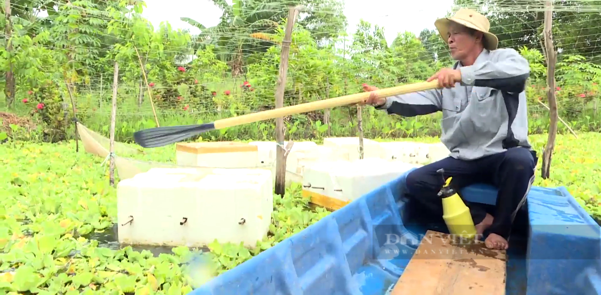 Bằng cách riêng nuôi ốc đặc sản trong mương phèn chua, ông cựu chiến binh ung dung thu tiền triệu  - Ảnh 4.