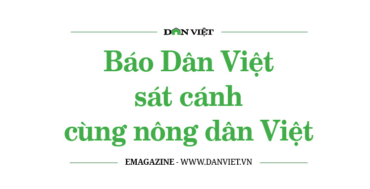 Phó Chủ tịch Hội NDVN: Báo Dân Việt phát huy bản sắc, sát cánh cùng nông dân trên mọi nẻo đường - Ảnh 1.