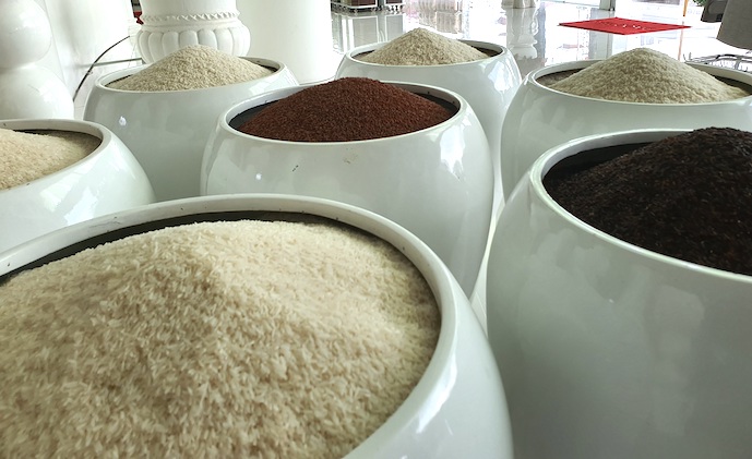 Giá phụ phẩm lúa gạo cao hơn sản phẩm chính - Ảnh 1.