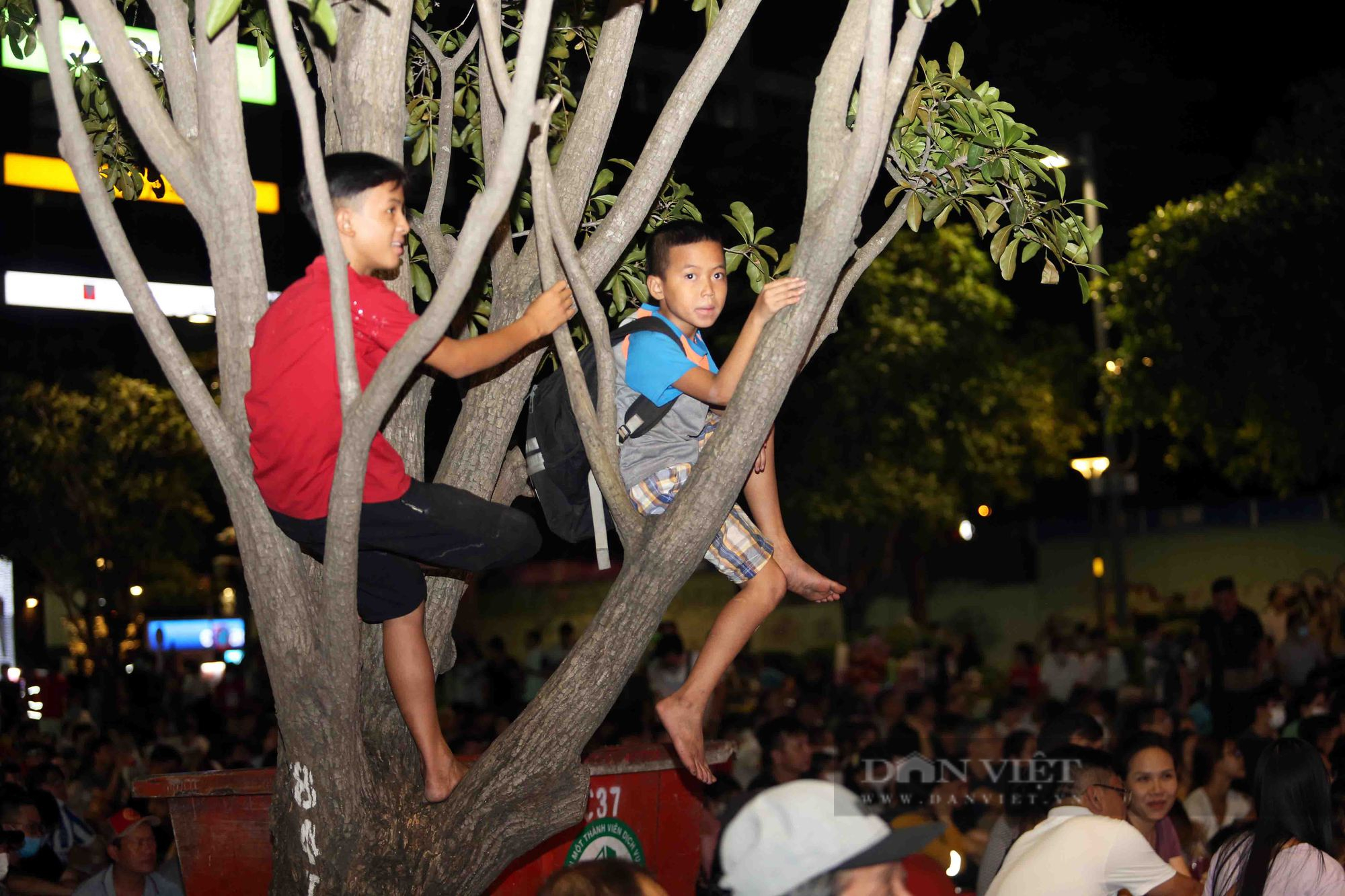 Người hâm mộ leo ngọn cây cổ vũ U23 Việt Nam đánh bại Malaysia - Ảnh 6.