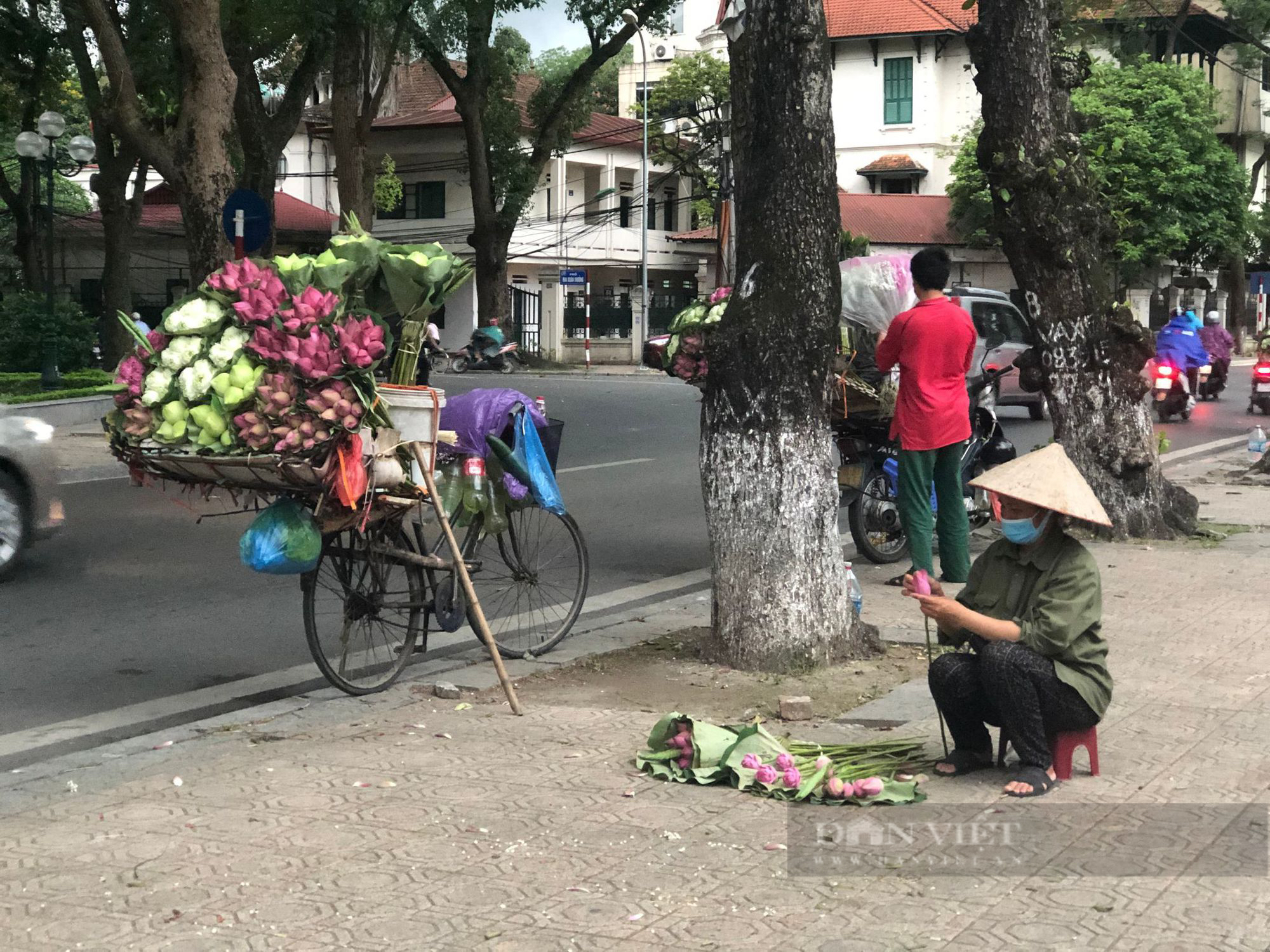 Mê mẩn với những gánh hoa sen đầu mùa nở rộ khoe sắc hương trên phố Hà Nội. - Ảnh 5.