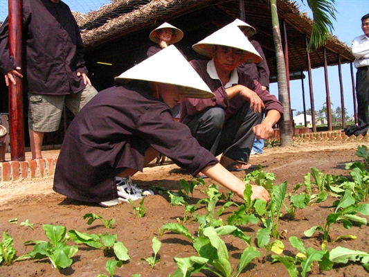 Green tourism will be a product to develop sustainable tourism in Quang Nam
