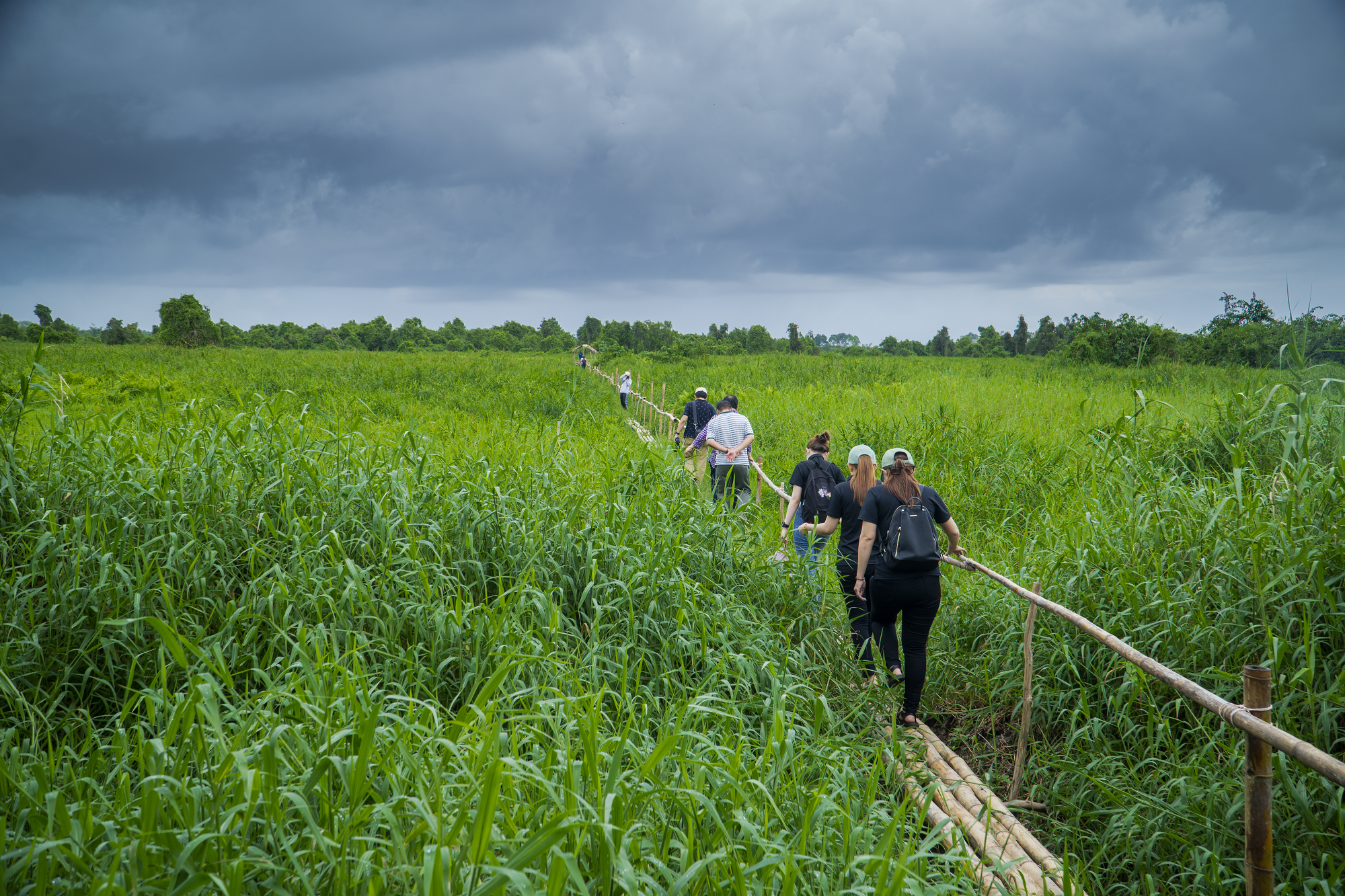 Đến Kiên Giang thăm đất rừng phương Nam - Ảnh 1.