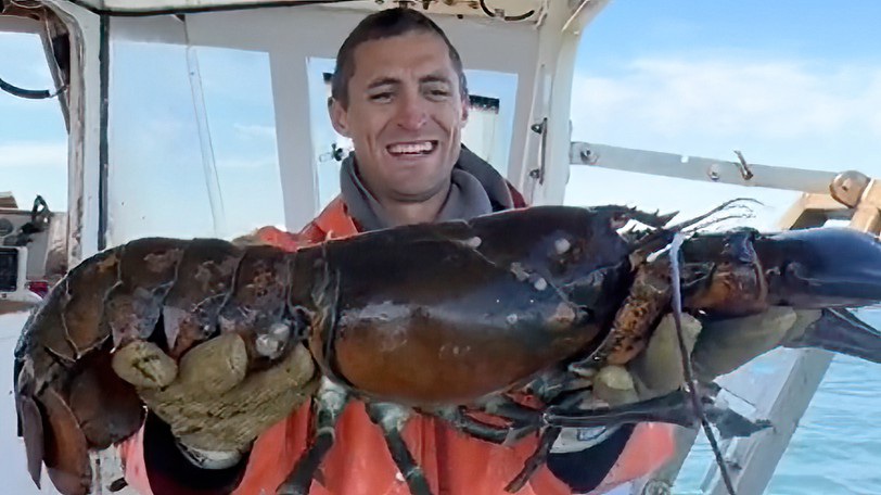 Surprised with giant lobster, predicted to be 100 years old - Photo 2.