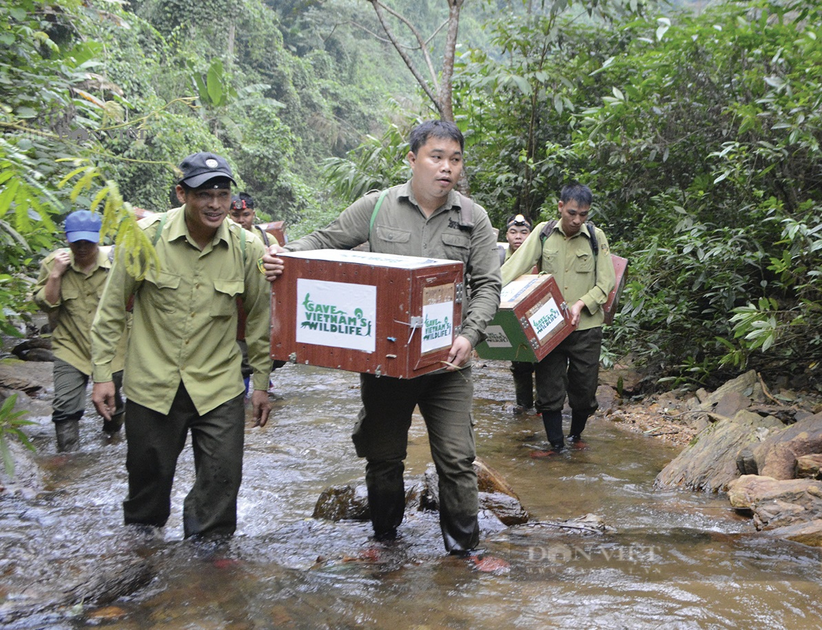 Người đạt giải “Nobel xanh” tặng hơn 6 tỷ đồng cho bảo tồn rừng tiếp tục đóng góp hơn 1 tỷ đồng tiền thưởng - Ảnh 3.