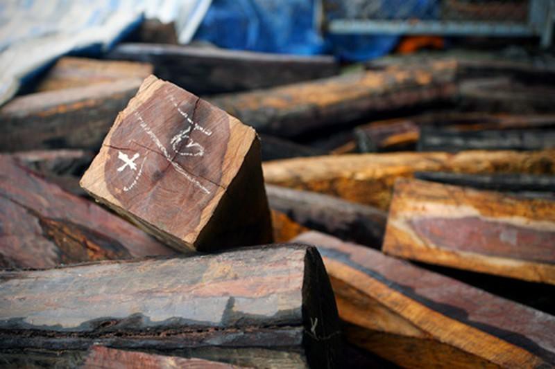 Văn bản 383 của Tổng cục Hải quan làm khó doanh nghiệp xuất khẩu gỗ? - Ảnh 1.