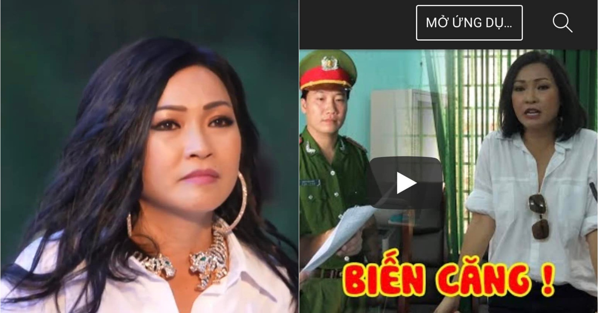 The fact that singer Phuong Thanh was arrested by the police caused public opinion to stir?