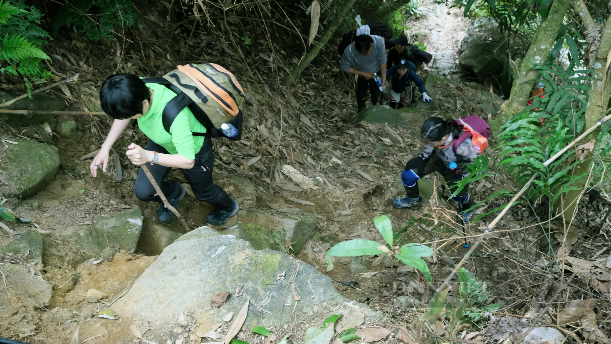 Pu Ta Leng - Immerse yourself in the great forest stream - Photo 3. Pu Ta Leng - Immerse yourself in the great forest stream - Photo 3.