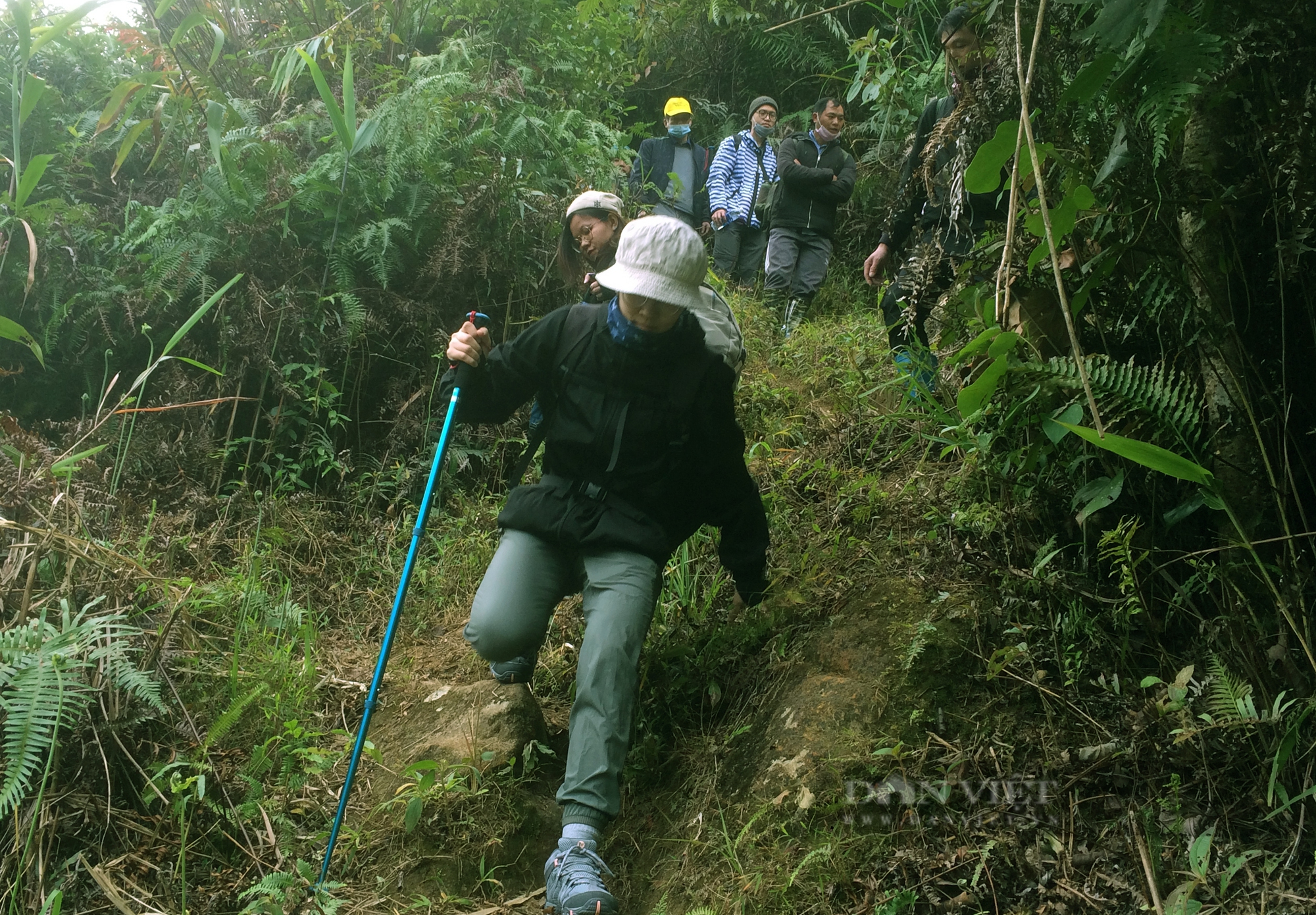 Pu Ta Leng - Immerse yourself in the great forest stream - Photo 4.