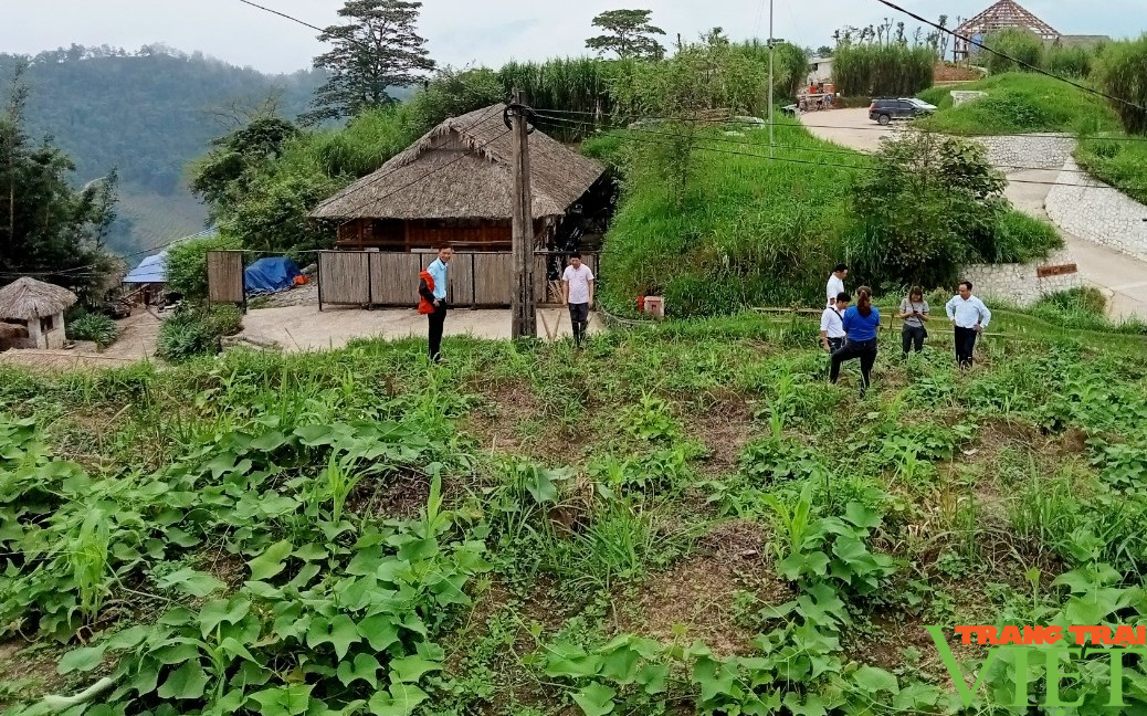 Trồng su su chuyên canh lấy ngọn trái vụ, hướng đi mới ở vùng cao Lào Cai - Ảnh 3.