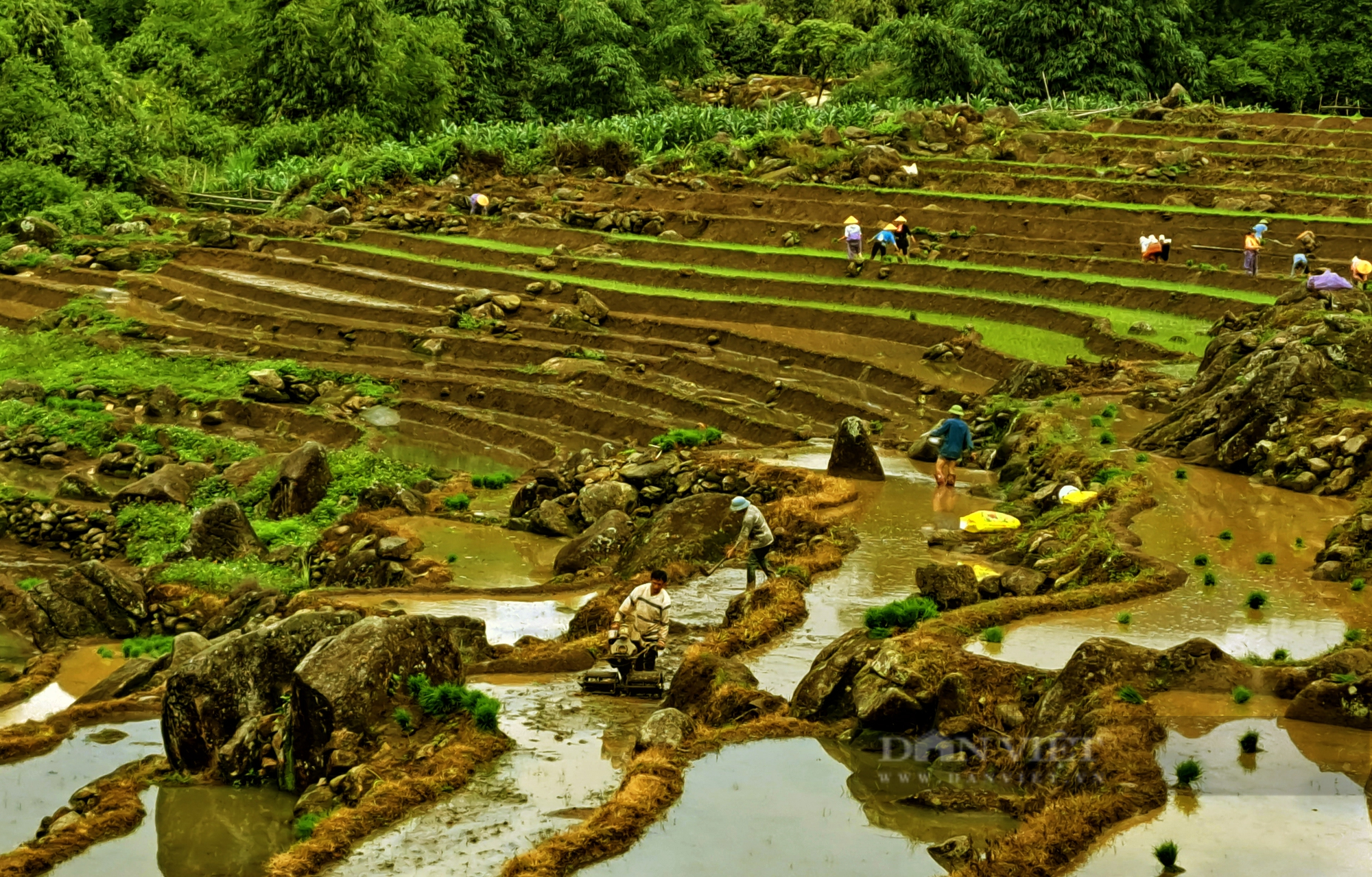 Lai Chau in the pouring water season - Photo 6.