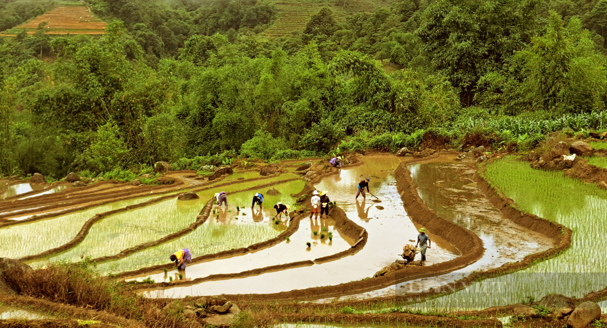 Lai Chau in the pouring water season - Photo 7.