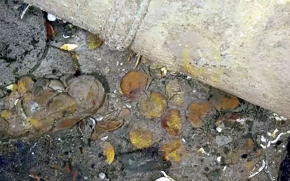 Never-before-seen image of a shipwreck full of treasures San Joe