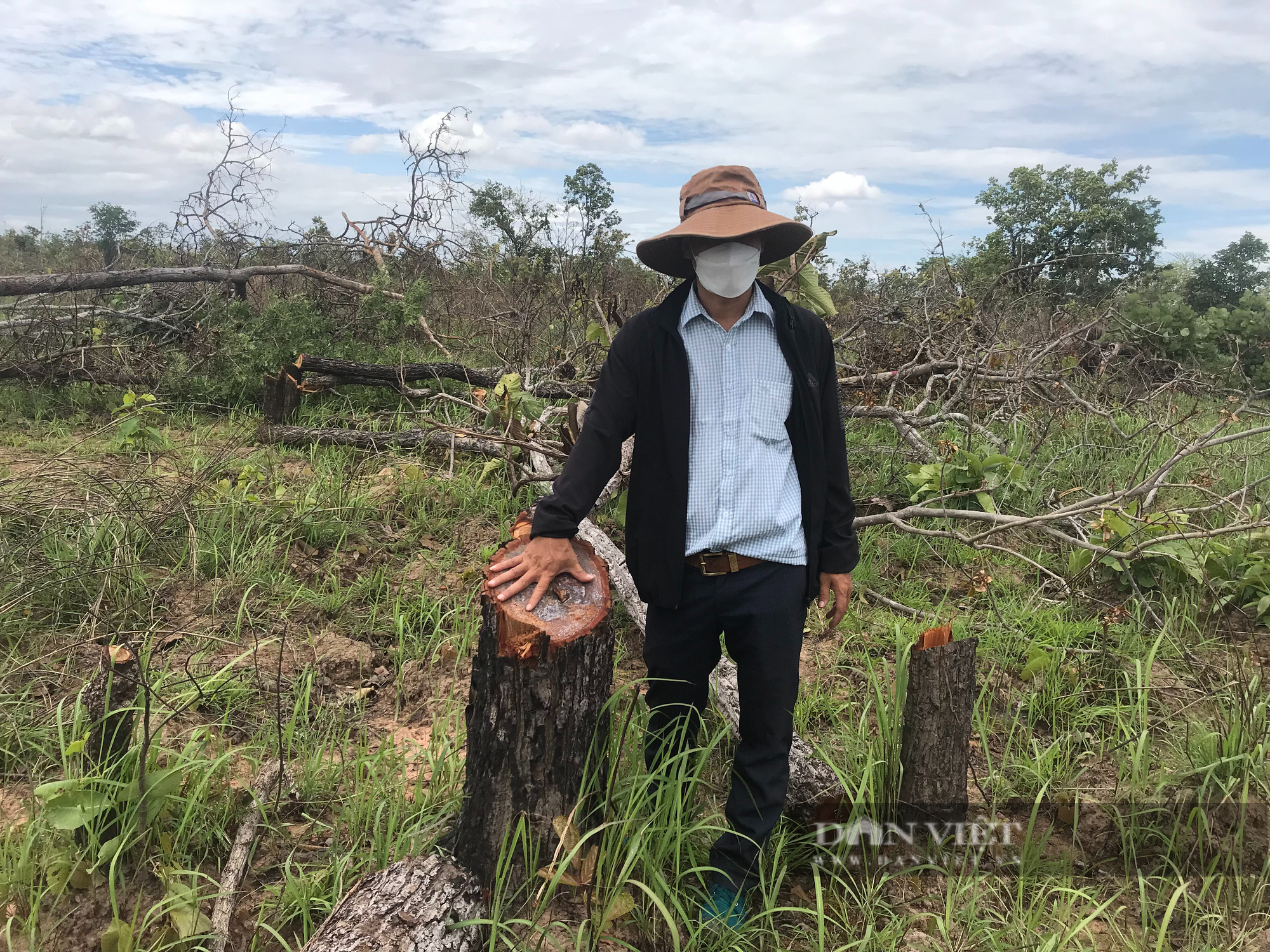 Vụ phá gần 400 ha rừng tại Đắk Lắk: Kỷ luật hai lãnh đạo xã  - Ảnh 1.
