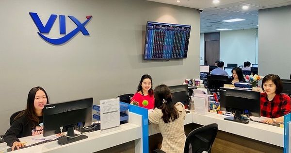 ĐHĐCĐ VIX: Năm 2021, lợi nhuận tăng trưởng gấp đôi - Ảnh 1.