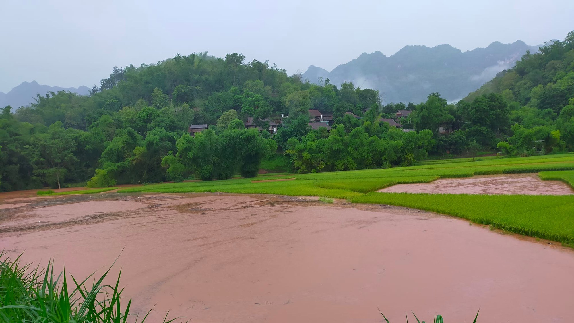 Sơn La: Phòng tránh thiên tai trong sản xuất nông nghiệp - Ảnh 2.