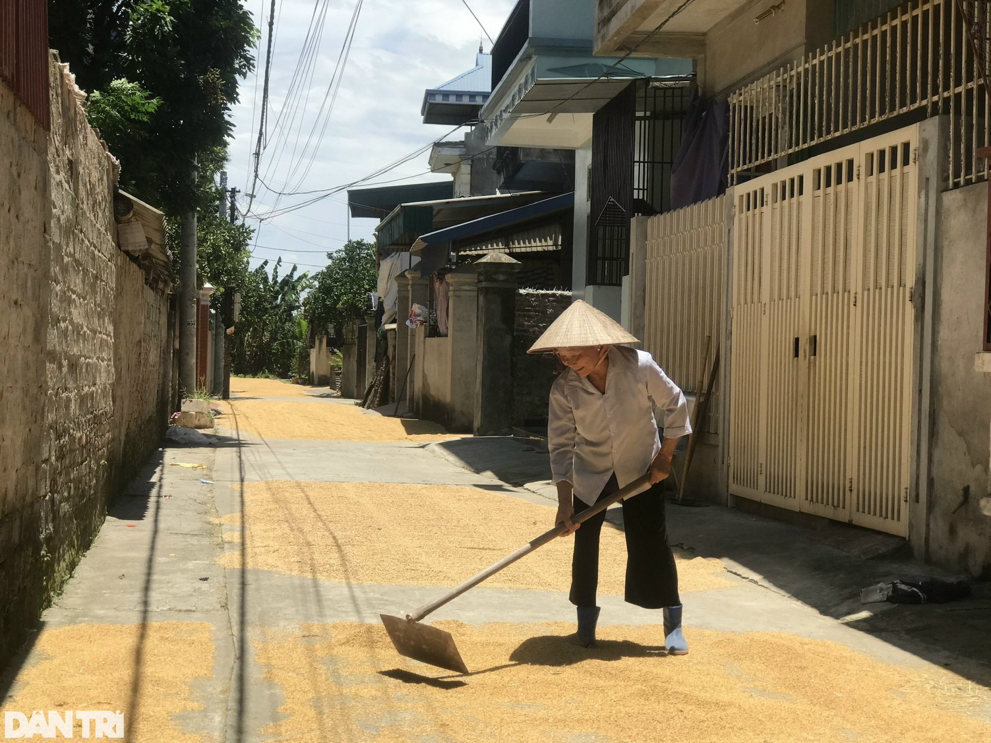 Ngôi làng Trinh Tiết &quot;phụ nữ không tái giá&quot; ở Hà Nội, giờ ra sao? - Ảnh 1.