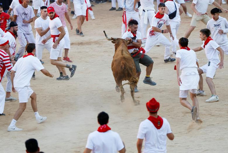 Hình ảnh Tây Ban Nha mở lễ hội đua với bò tót đầu tiên sau 3 năm - Ảnh 7.