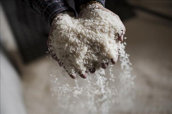 Nhu cầu tăng mạnh đẩy giá gạo Ấn Độ lên cao - Ảnh 1.