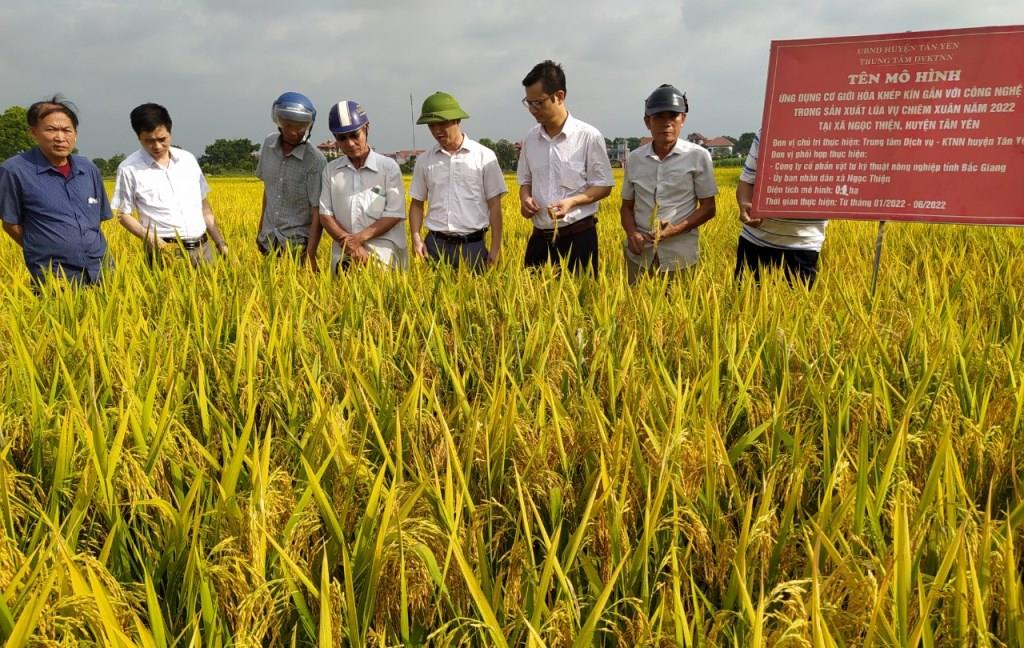 Bắc Giang: Có máy bay không người lái &quot;3 trong 1&quot;, nông dân làm ruộng mà không phải còng lưng - Ảnh 3.