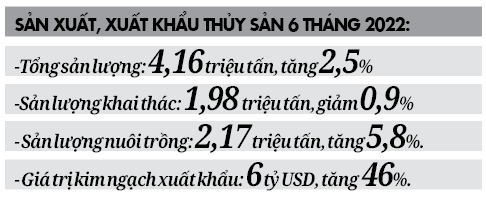 Thị trường ngoại rộng mở, thủy sản thu về 6 tỷ USD - Ảnh 2.