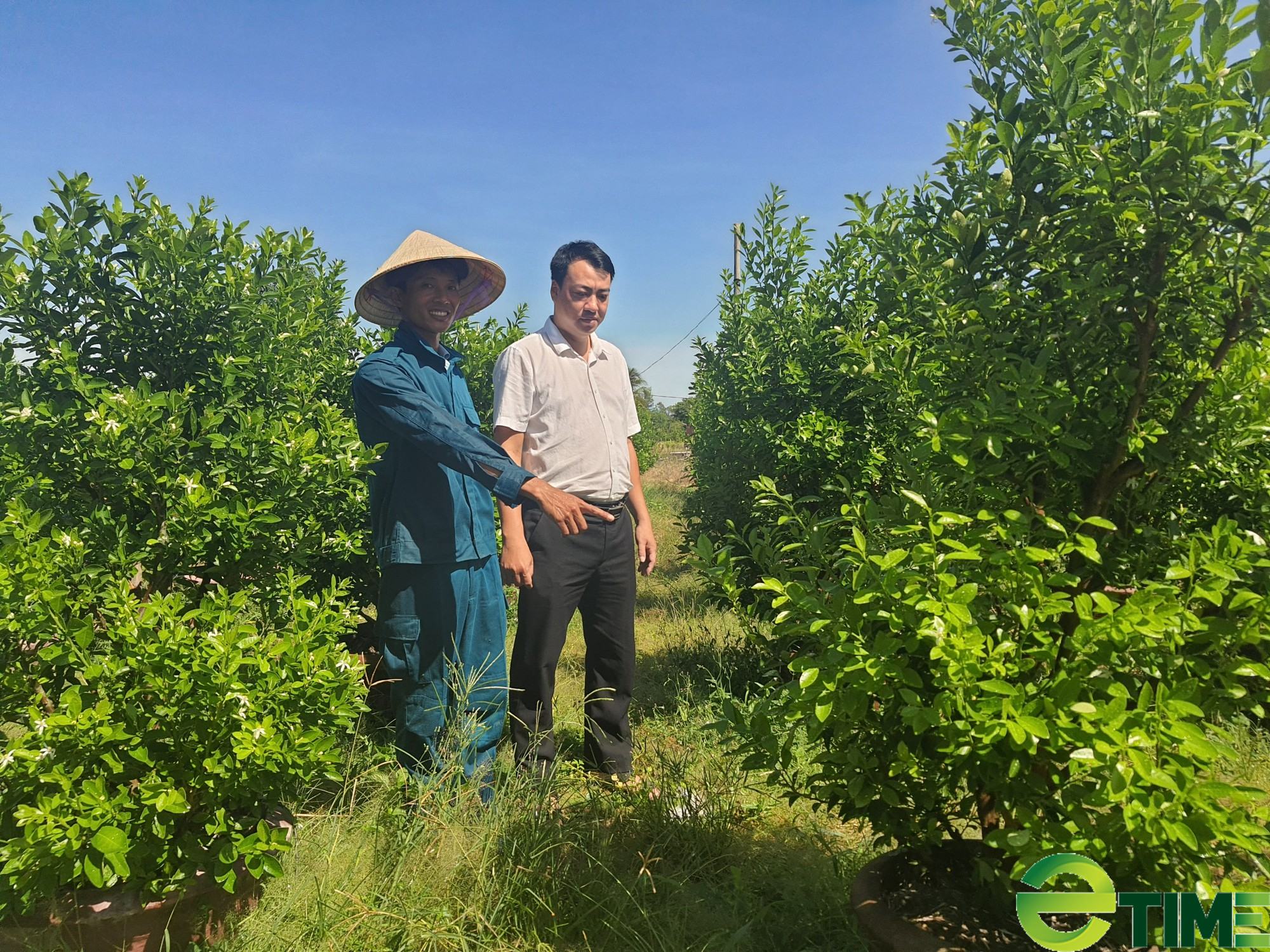 Quảng Nam: Agribank chắp cánh cho thanh niên Hội An làm giàu - Ảnh 1.