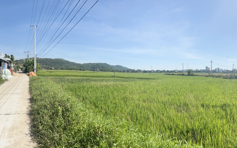 Quảng Ngãi: Gỡ nút thắt chuyển đất lúa cho doanh nghiệp để làm khu đô thị 883 tỷ 