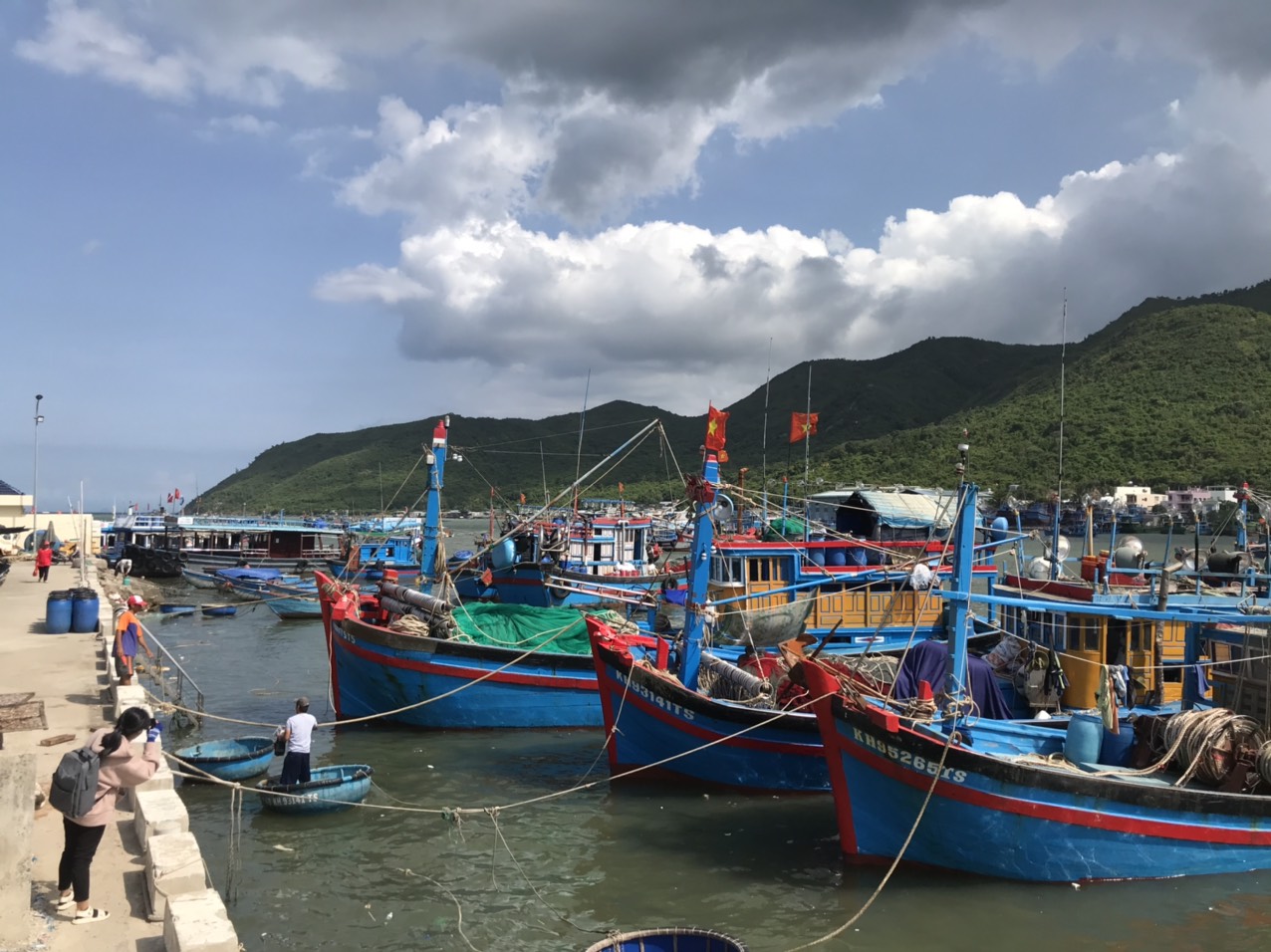 19 tàu cá của Khánh Hòa thuộc diện mất tích - Ảnh 2.