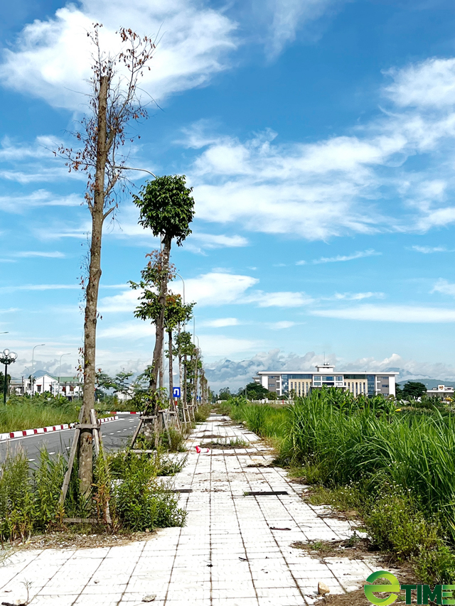 Quảng Ngãi: Hạng mục dành trồng hoa, cây cảnh làm nhếch nhác bộ mặt trung tâm huyện mới  - Ảnh 5.