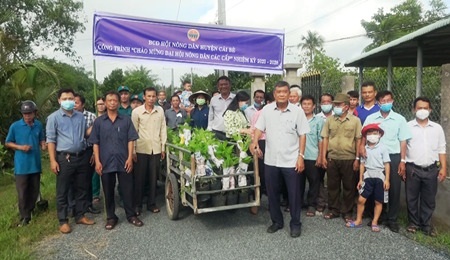 Nông dân huyện Cái Bè tỉnh Tiền Giang cùng nhau trồng cây cảnh, cây xanh trên tuyến đường nông thôn mới - Ảnh 1.