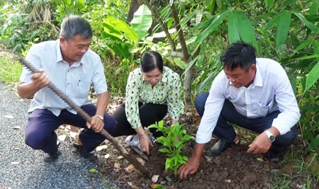 Nông dân huyện Cái Bè tỉnh Tiền Giang cùng nhau trồng cây cảnh, cây xanh trên tuyến đường nông thôn mới - Ảnh 2.