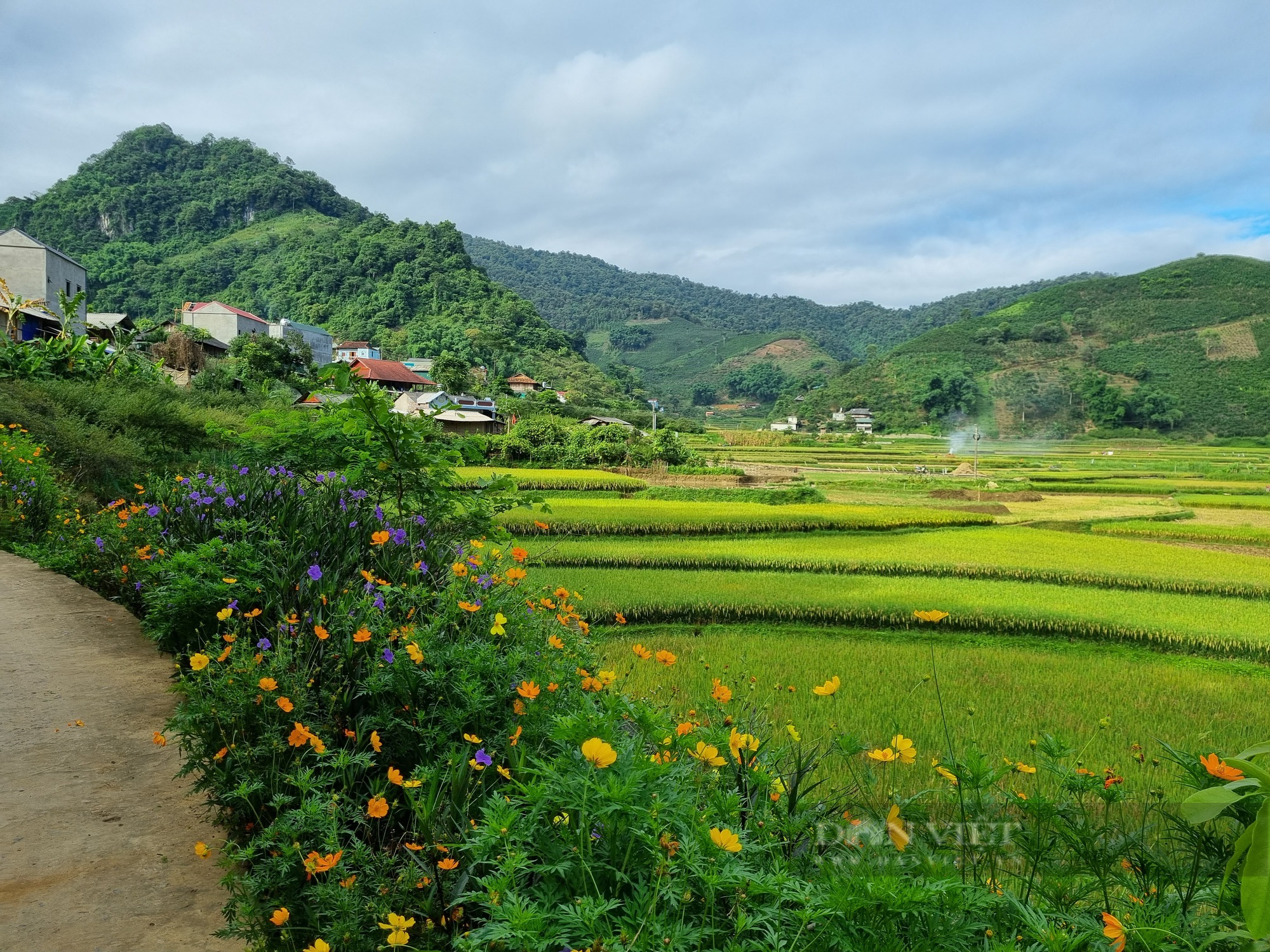 Mê mẩn con đường hoa nông thôn mới đẹp như tranh ở bản người Thái của tỉnh Sơn La - Ảnh 10.