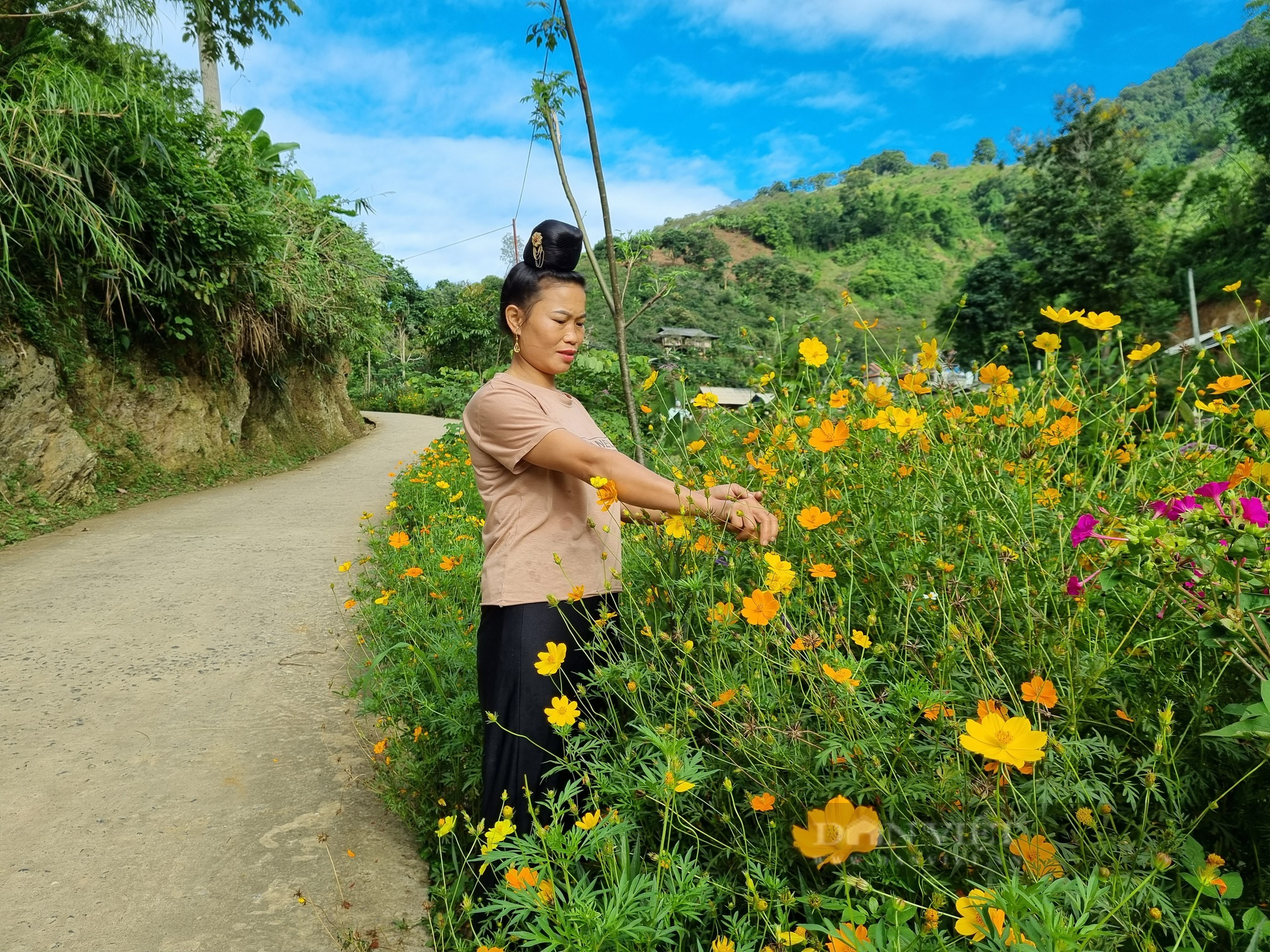 Mê mẩn con đường hoa nông thôn mới đẹp như tranh ở bản người Thái của tỉnh Sơn La - Ảnh 3.