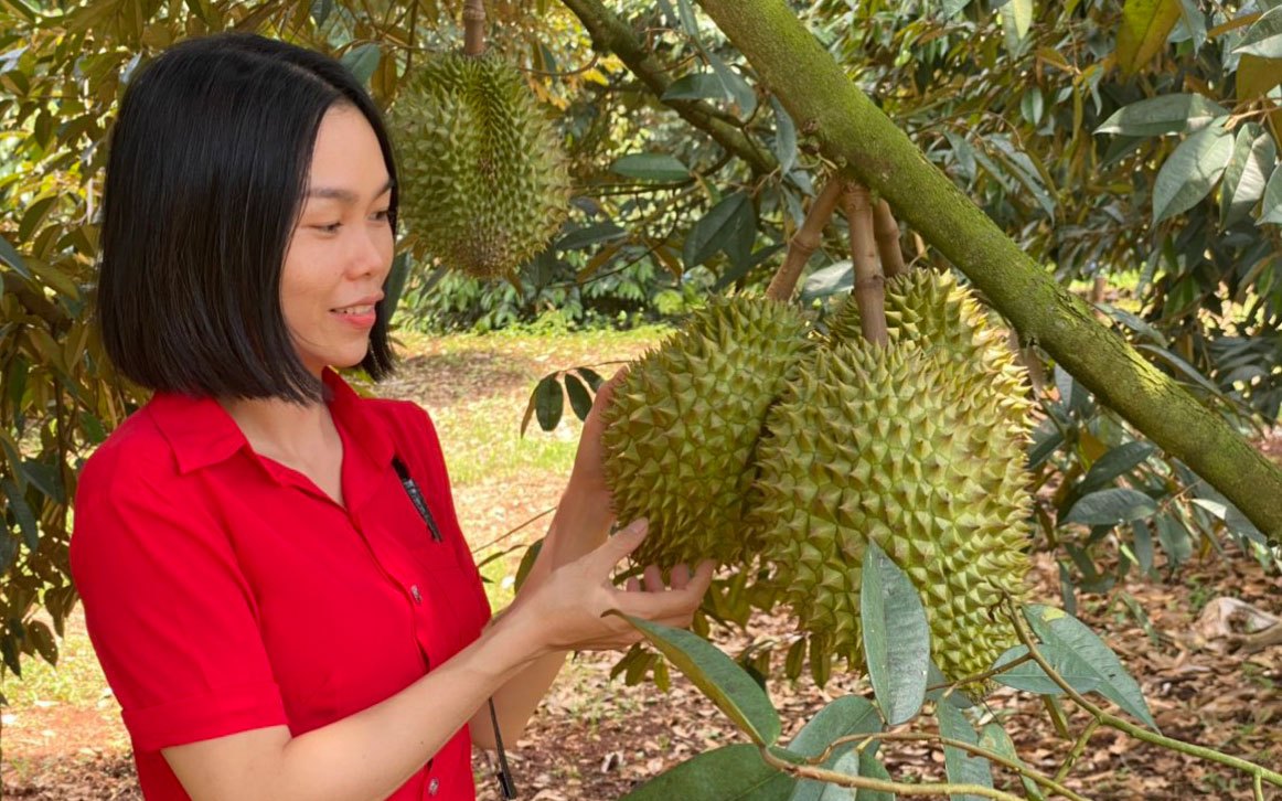 Làm du lịch sinh thái từ vườn cây ăn trái đặc sản gắn với di tích lịch sử ở Long An