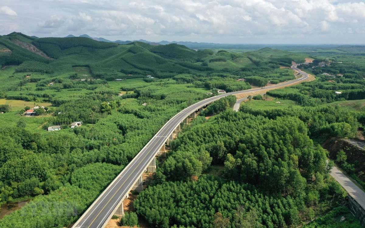 Sẽ có trên 1.000ha rừng được trồng thay thế diện tích chuyển đổi để xây dựng cao tốc Bắc - Nam phía Đông