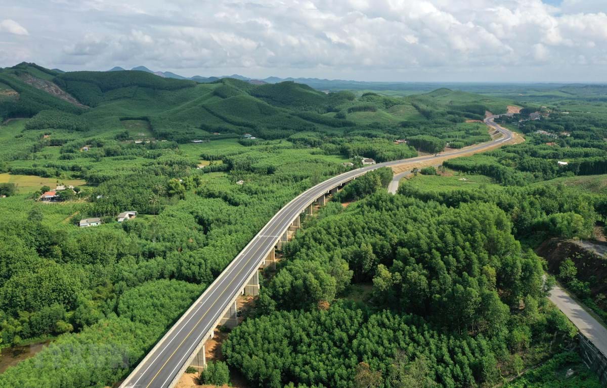Sẽ có trên 1.000ha rừng được trồng thay thế diện tích chuyển đổi phục vụ dự án cao tốc Bắc - Nam phía Đông - Ảnh 2.