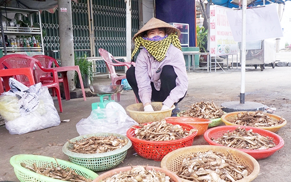 Sản vật nấm mối ở Đồng Nai, hái ra khỏi rừng giá bán lên tới 800.000-1,2 triệu/kg vẫn hút hàng