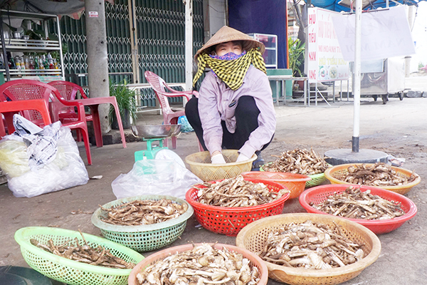 Sản vật nấm mối ở Đồng Nai, hái ra khỏi rừng giá bán lên tới 800.000-1,2 triệu/kg vẫn hút hàng - Ảnh 4.
