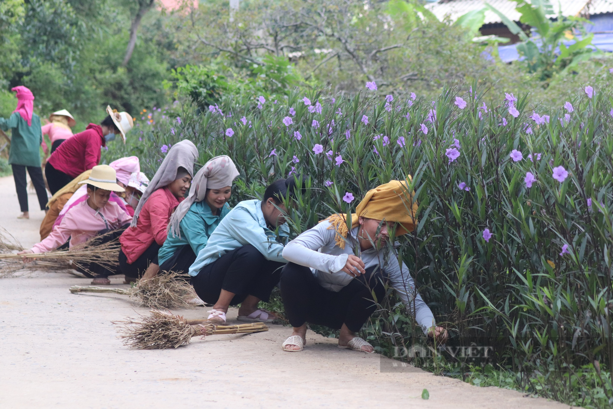 Mê mẩn con đường hoa nông thôn mới đẹp như tranh ở bản người Thái của tỉnh Sơn La - Ảnh 5.