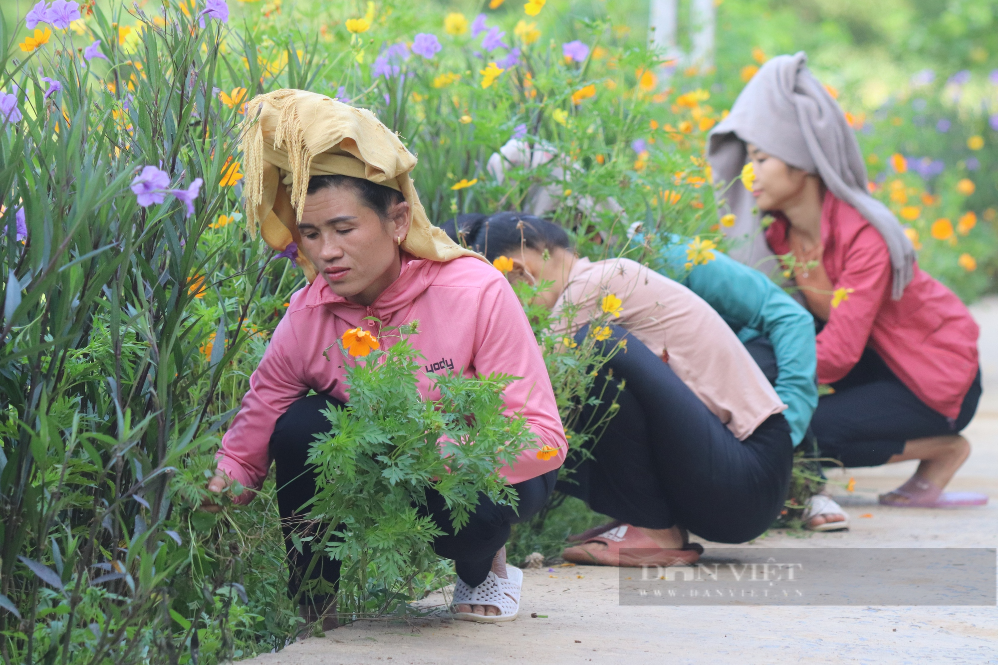 Mê mẩn con đường hoa nông thôn mới đẹp như tranh ở bản người Thái của tỉnh Sơn La - Ảnh 4.