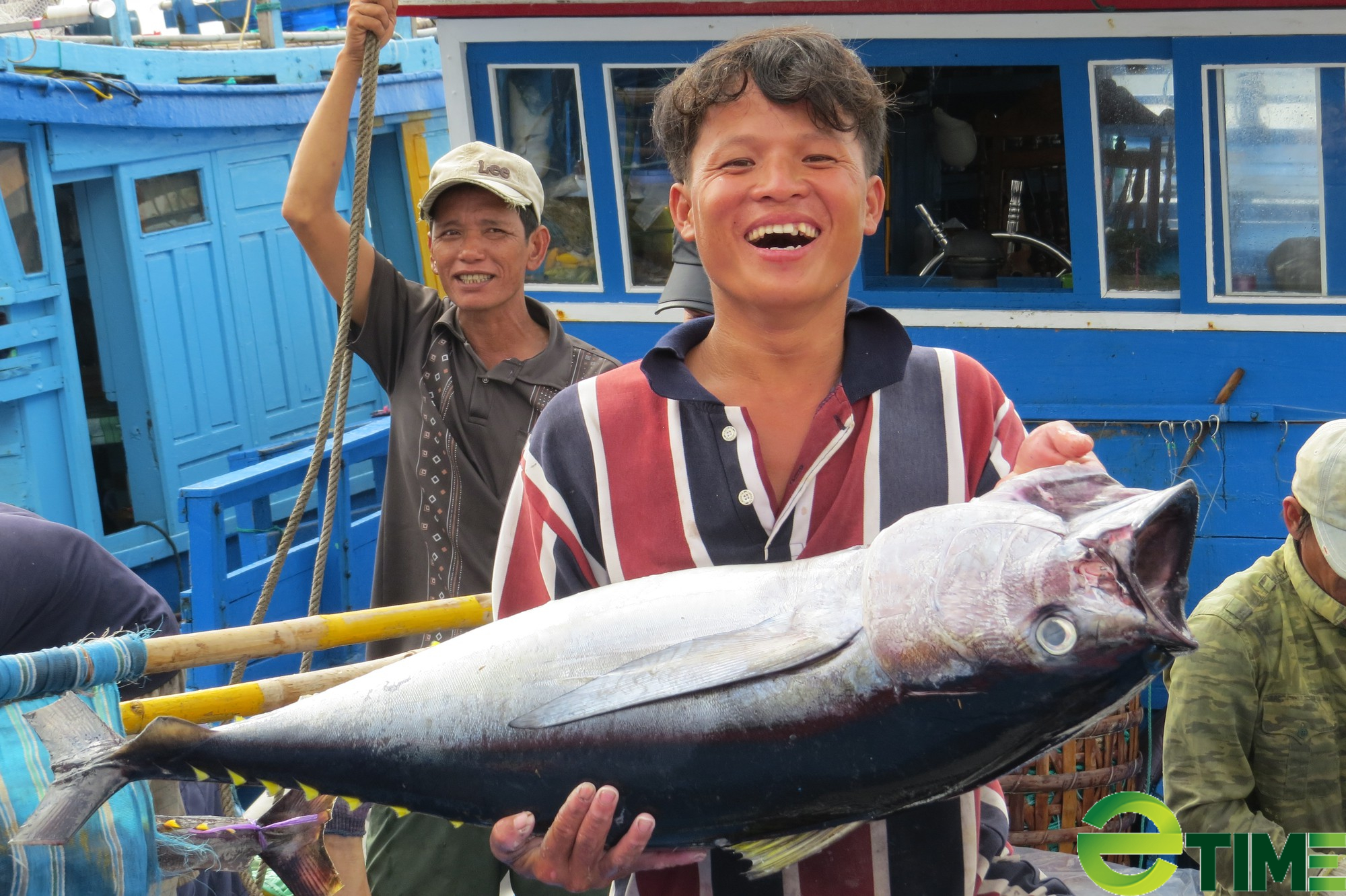 Tuần Văn hóa - Du lịch Phú Yên “Cá ngừ đại dương - Tinh hoa của biển” - Ảnh 2.