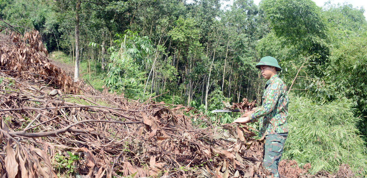 Việt Nam kỳ vọng thu 20 tỷ USD nhờ xuất khẩu gỗ  - Ảnh 2.