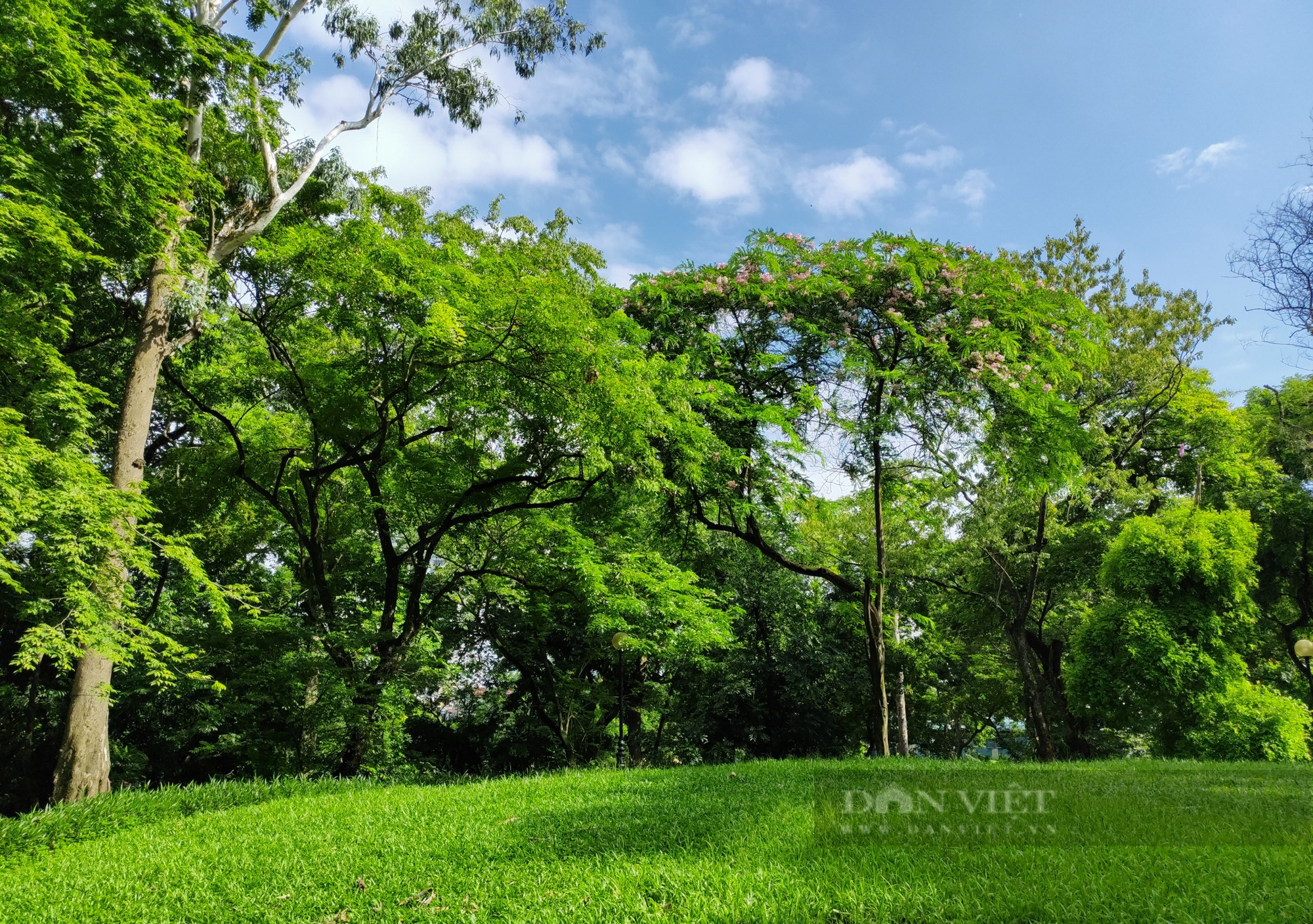 Hà Nội: Cận cảnh &quot;khối vàng khủng&quot; trên núi Nùng được mặc &quot;giáp sắt&quot; chống trộm - Ảnh 2.