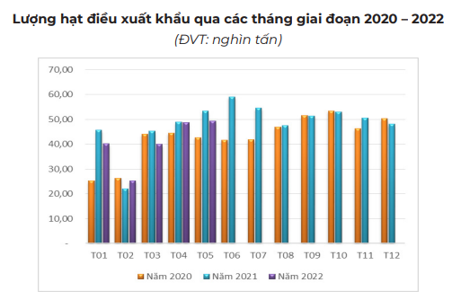 Xuất khẩu hạt điều sẽ ngày càng khó khăn - Ảnh 2.