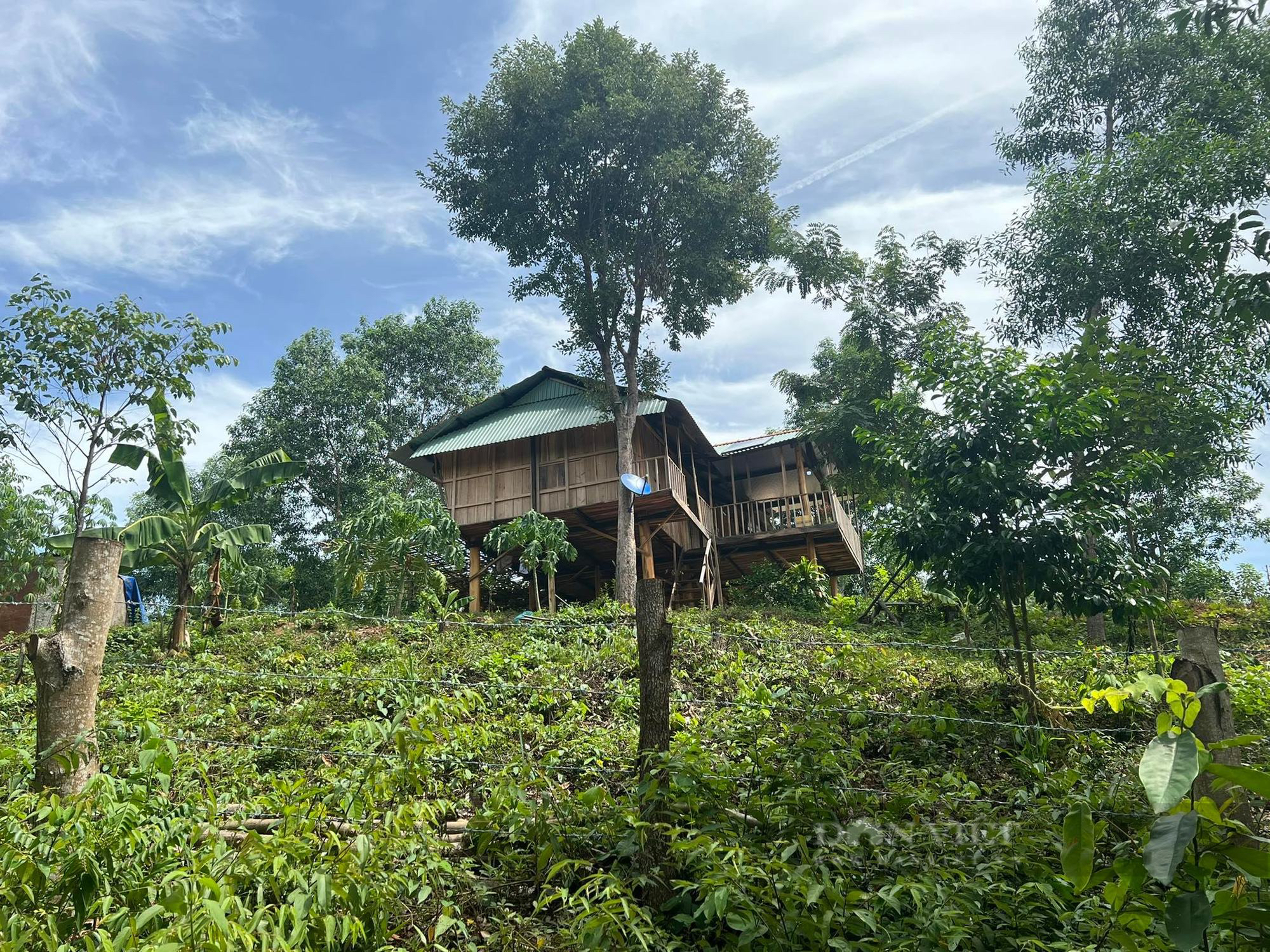 Vợ chiếm đất rừng làm nơi nghỉ hưu, chồng Chánh án có nguy cơ bị xử lý khi còn đương chức - Ảnh 1.