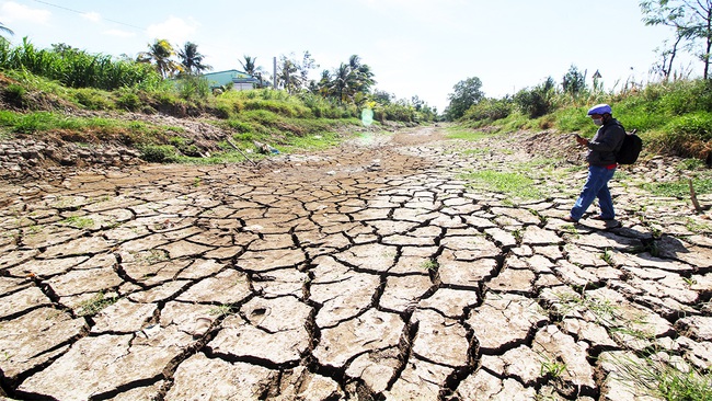 Xâm nhập mặn, thiếu nước sinh hoạt vùng ĐBSCL trong mùa khô 2020-2021. Ảnh: T.L