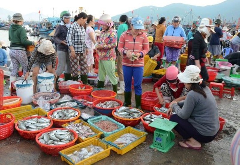7 khu chợ nổi tiếng chưa đi chưa biết hết đặc sản ngon - sạch - lạ ở Đà Nẵng - Ảnh 7.